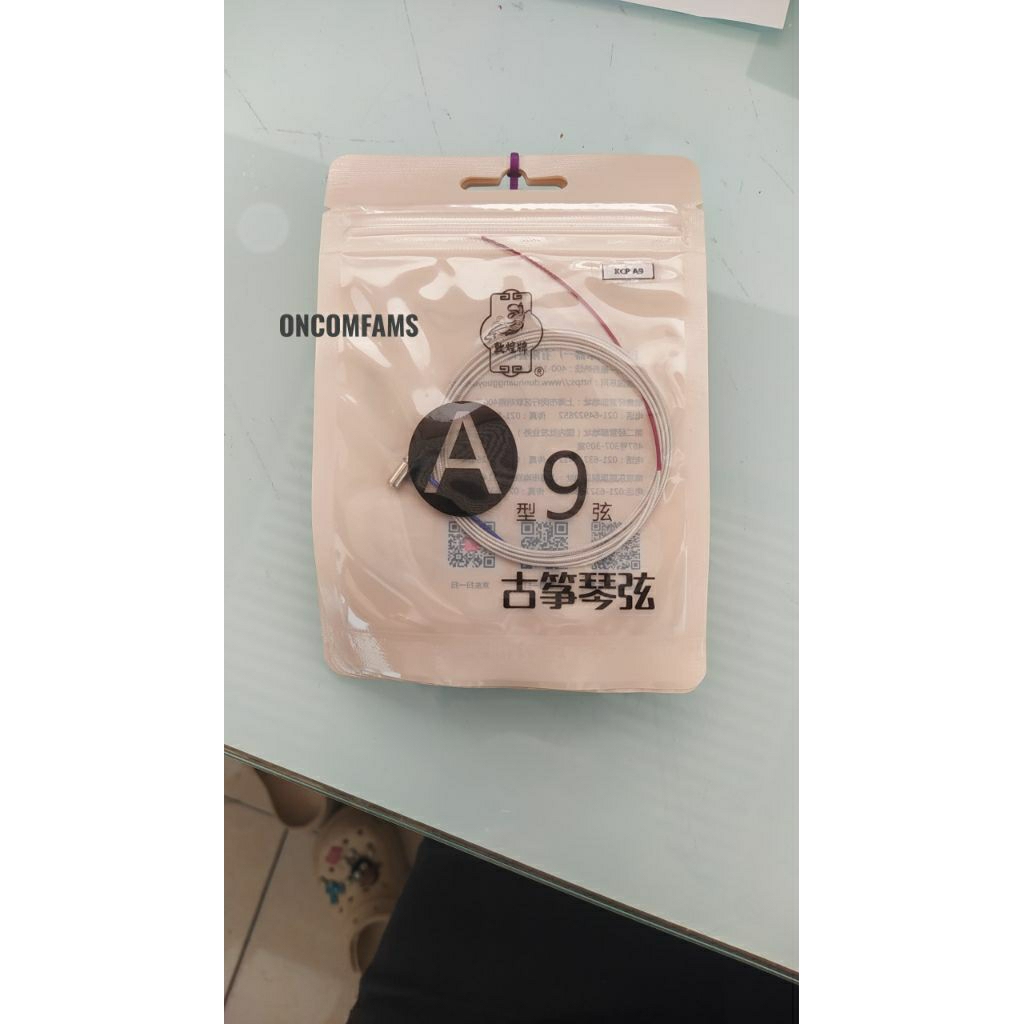 Senar Guzheng Kecapi Dunhuang A9