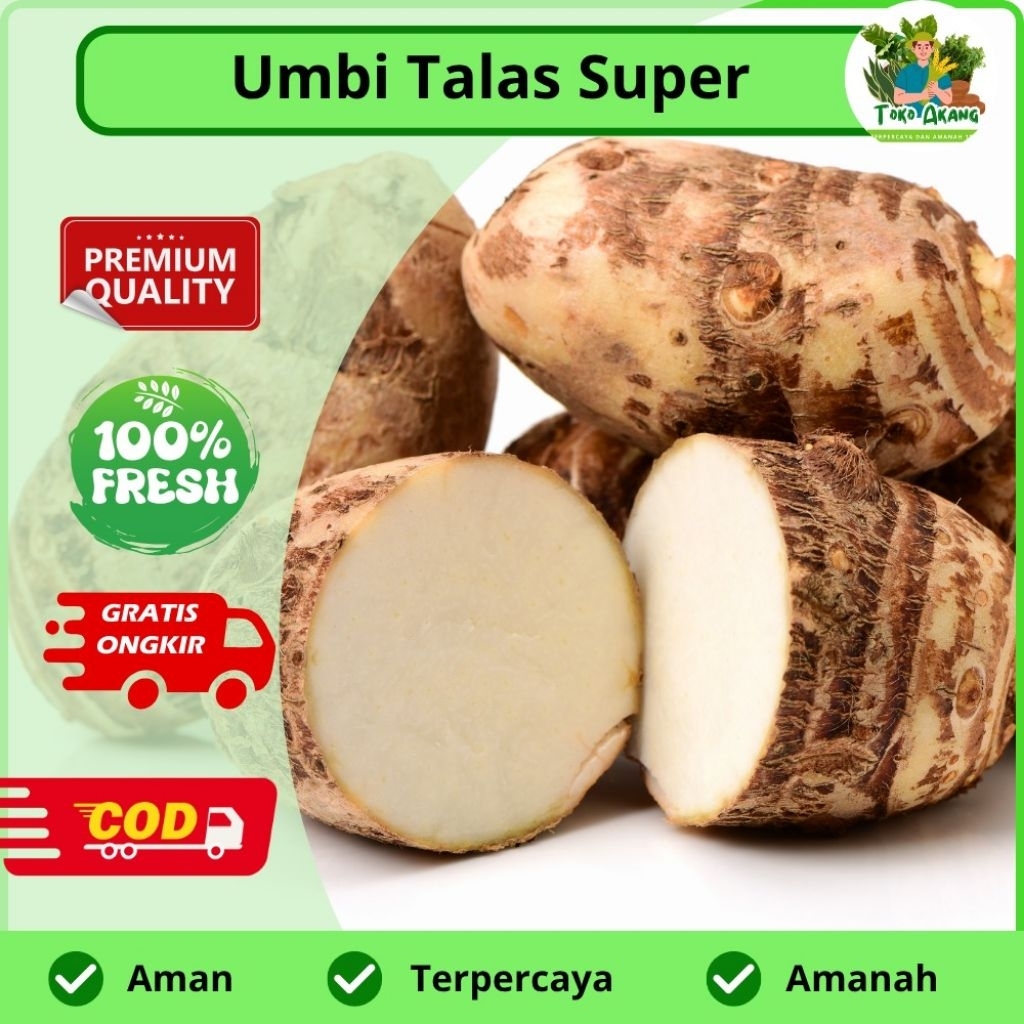 

Ready Umbi talas pulen murah -COD