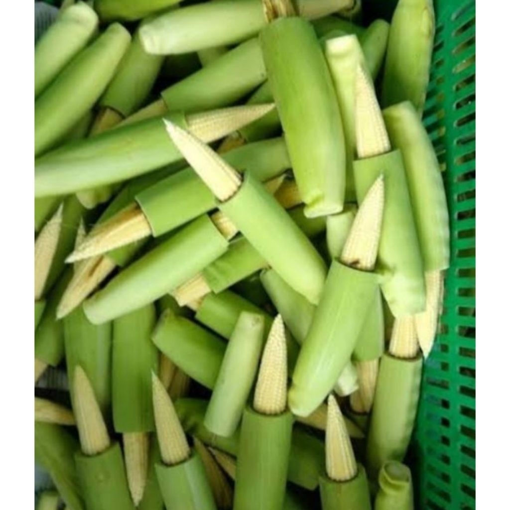 

Jagung Muda / Putren petik muda segar 500gr