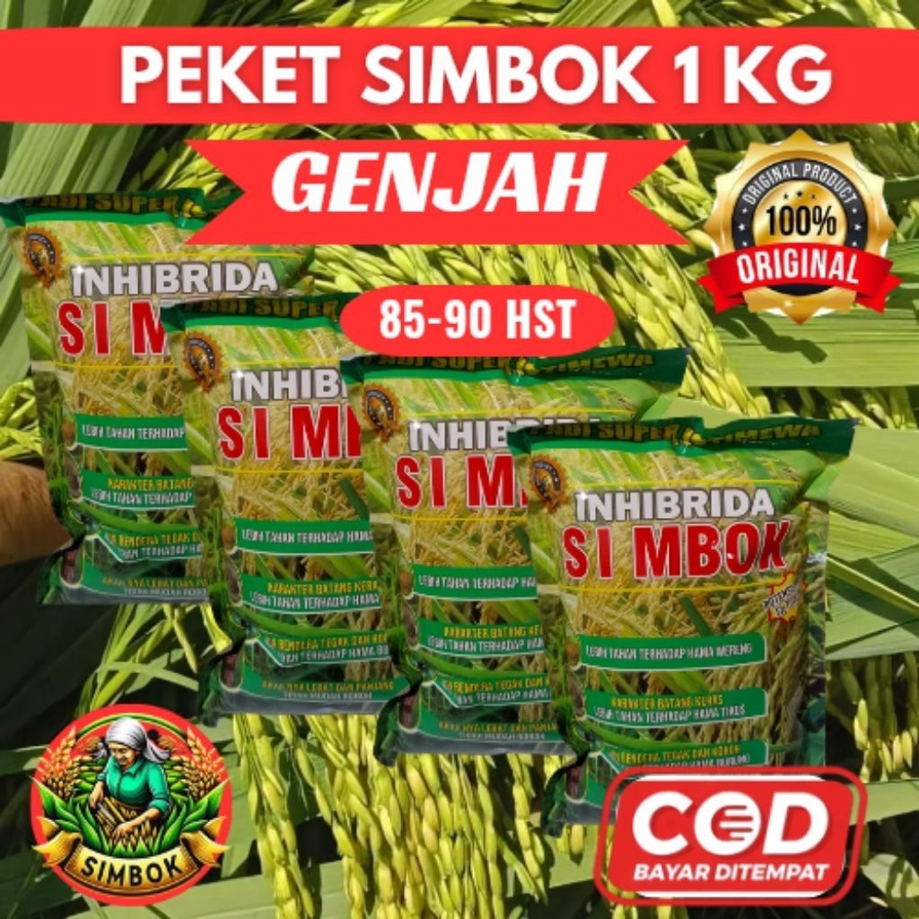 

( 1 KG )PADI SIMBOK GENJAH PADI UNGGUL INDONESIA Di Formulasikan untuk produksi Maksimal Rasa Nasi Pulen Rendeman tinggi Batang Besar dan kokoh tidak mudah Roboh