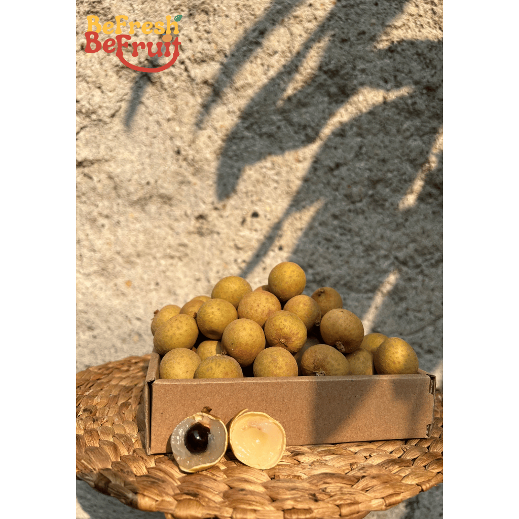 

Lengkeng / Kelengkeng Bangkok Thailand 500Gram