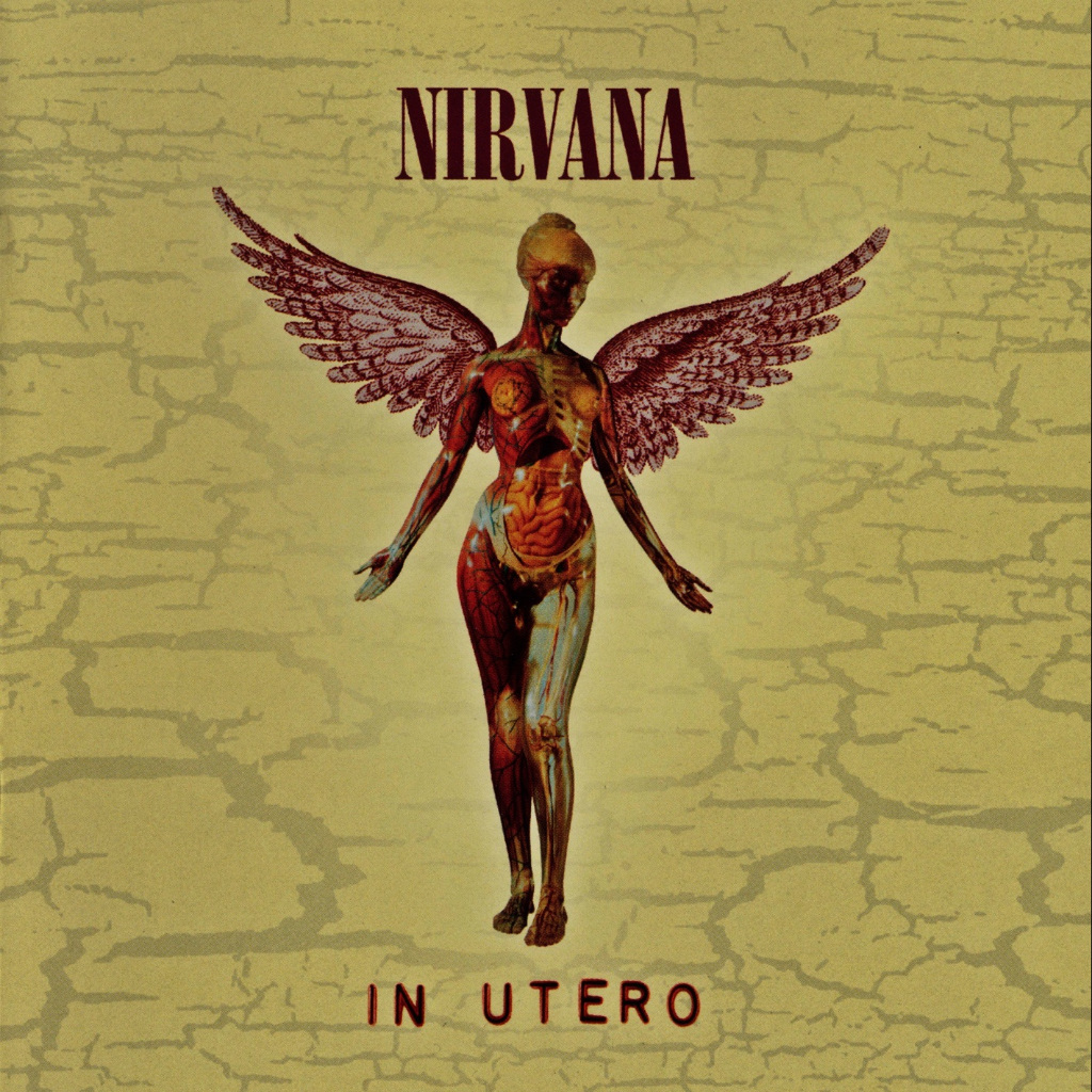 CD Music Nirvana - In Utero 20th Anniversary 2CCD 2013