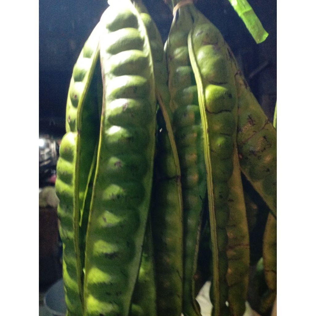 

SAYUR PETAI PETE MLANDING isi 10papan