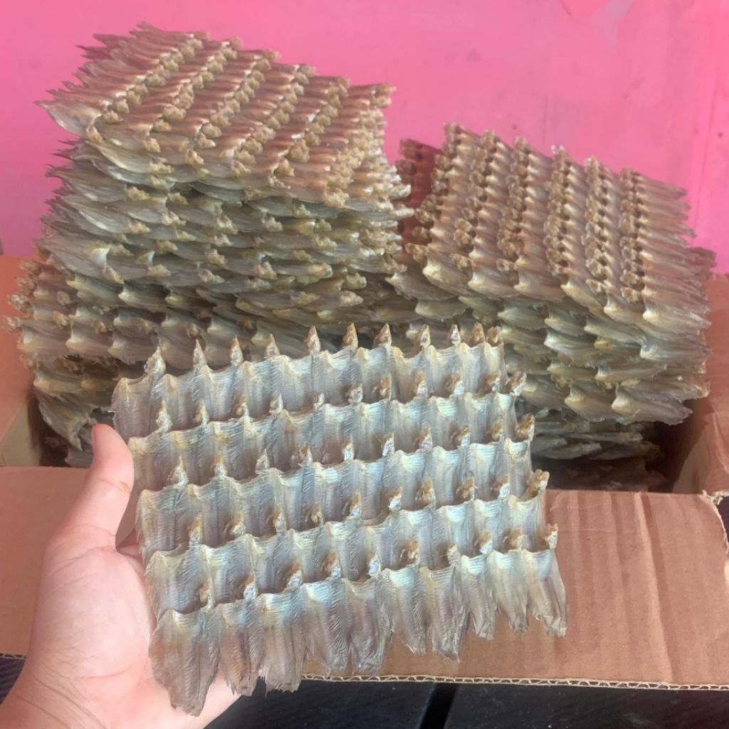 

MURAH KUALITAS SUPER SAPAT TIKAR/SAPAT BERAMPIT TAWAR/HAMBAR