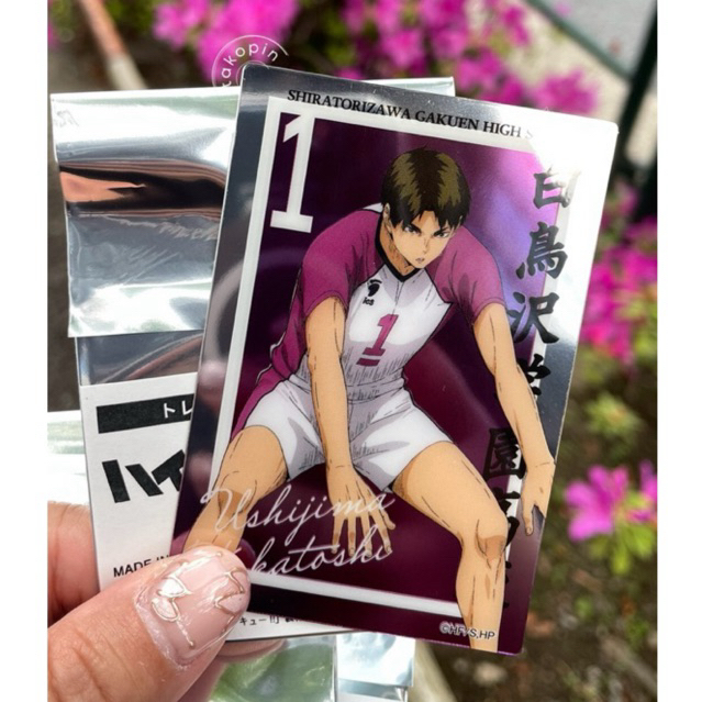 Haikyuu Ushijima Wakatoshi Baseyard Trading Metal Card
