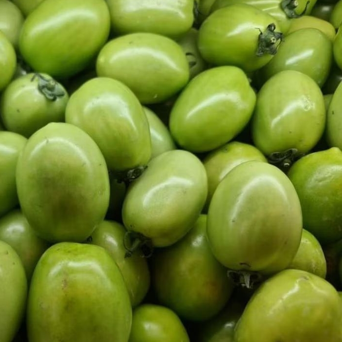 

INSTAN KOTA JAMBI Sayur Tomat Hijau 250gr