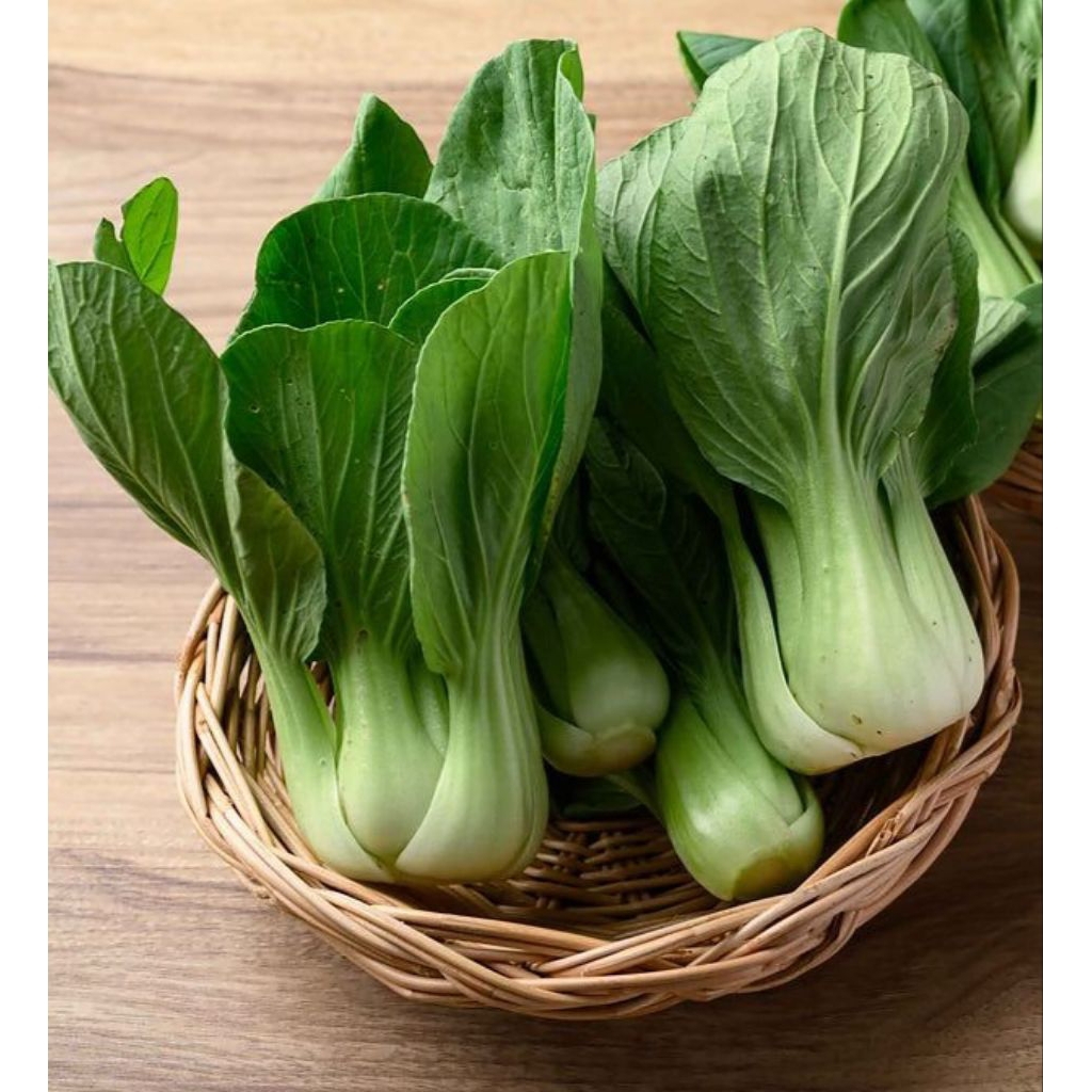 

Pakcoy atau Bokcoy 250grm