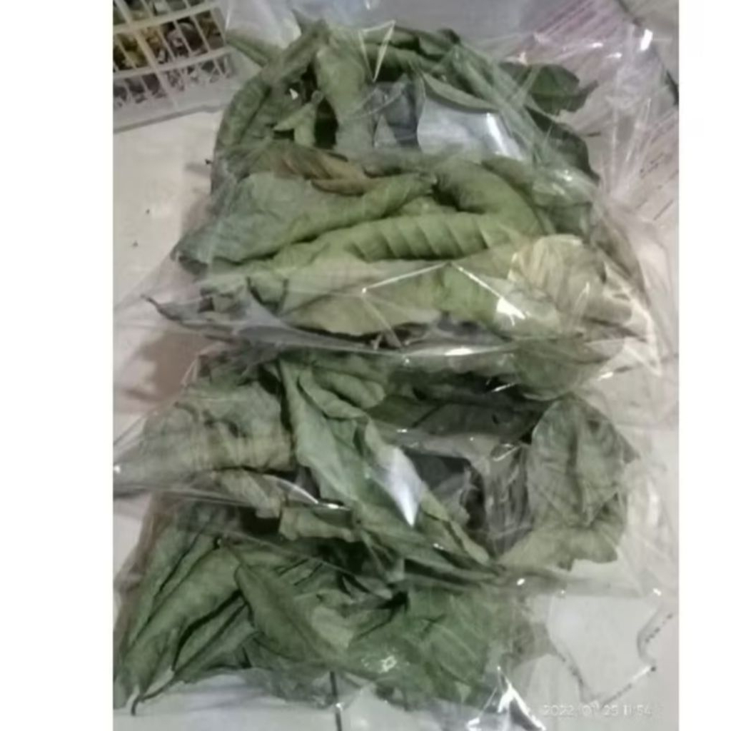 

Herbal daun jambu biji kering ori,herbal daun jambu kering
