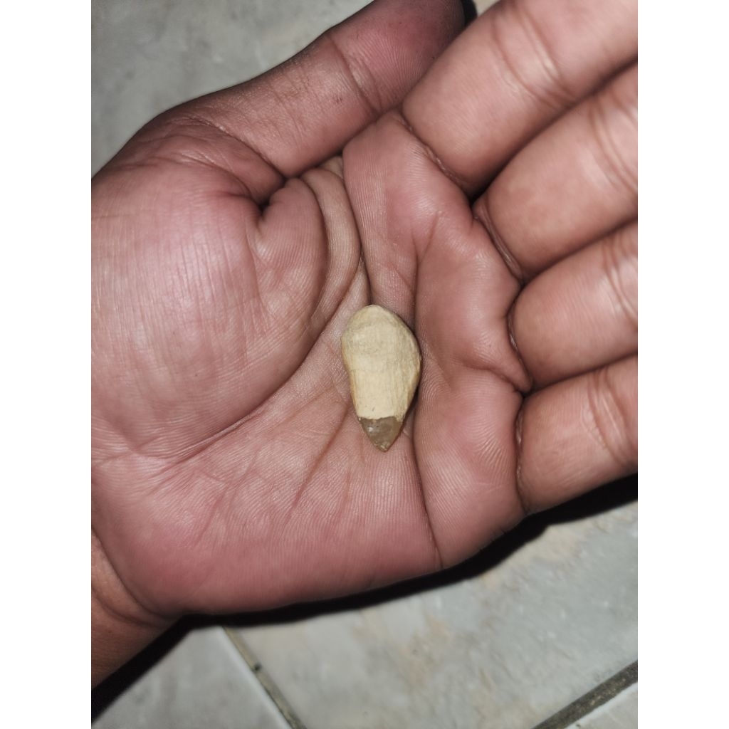 peninggalan mbah batu kuno antik dlmapth unik antik