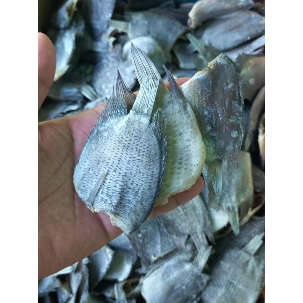 

ikan asin sepat ukuran sedang kering enak