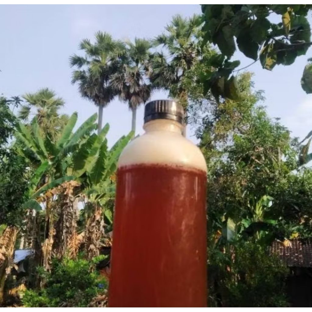 

Gulo Juroh Kemasan 600ml(Dihasilkan Dari 2 Liter Rebusan Legen Asli) Safety pengemasan Aman Kemana Saja