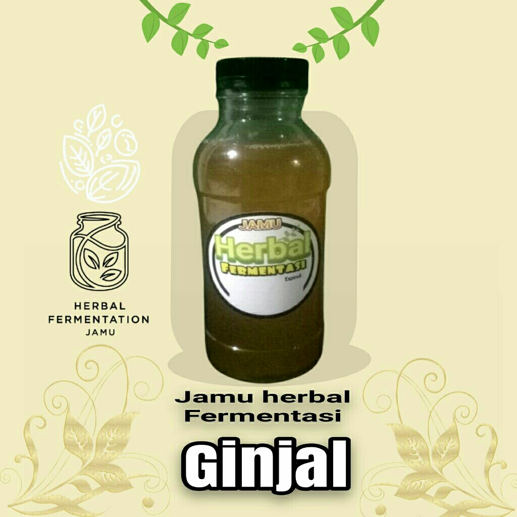 

jamu herbal fermentasi ginjal