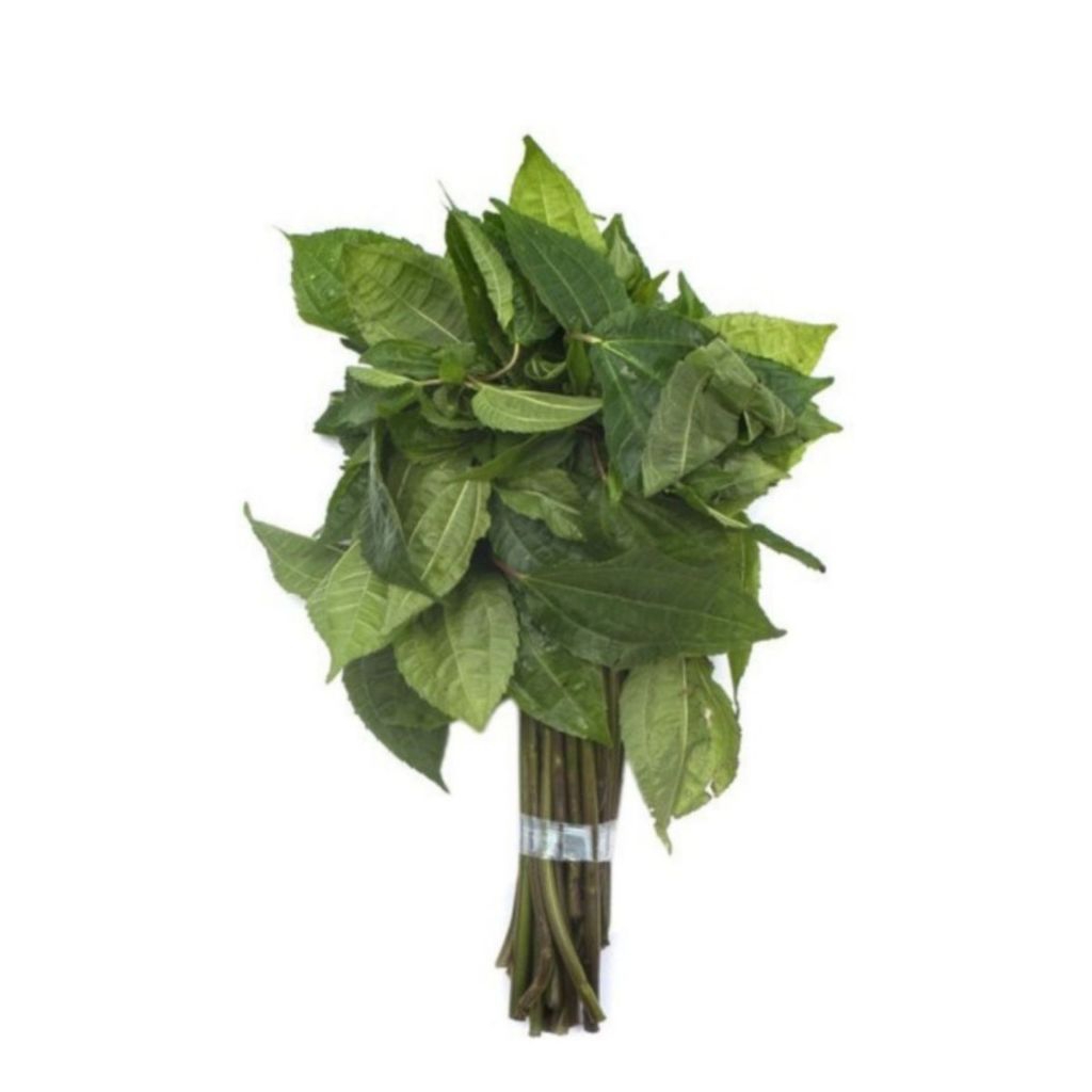 

Daun pohpohan 1 ikat 150gram
