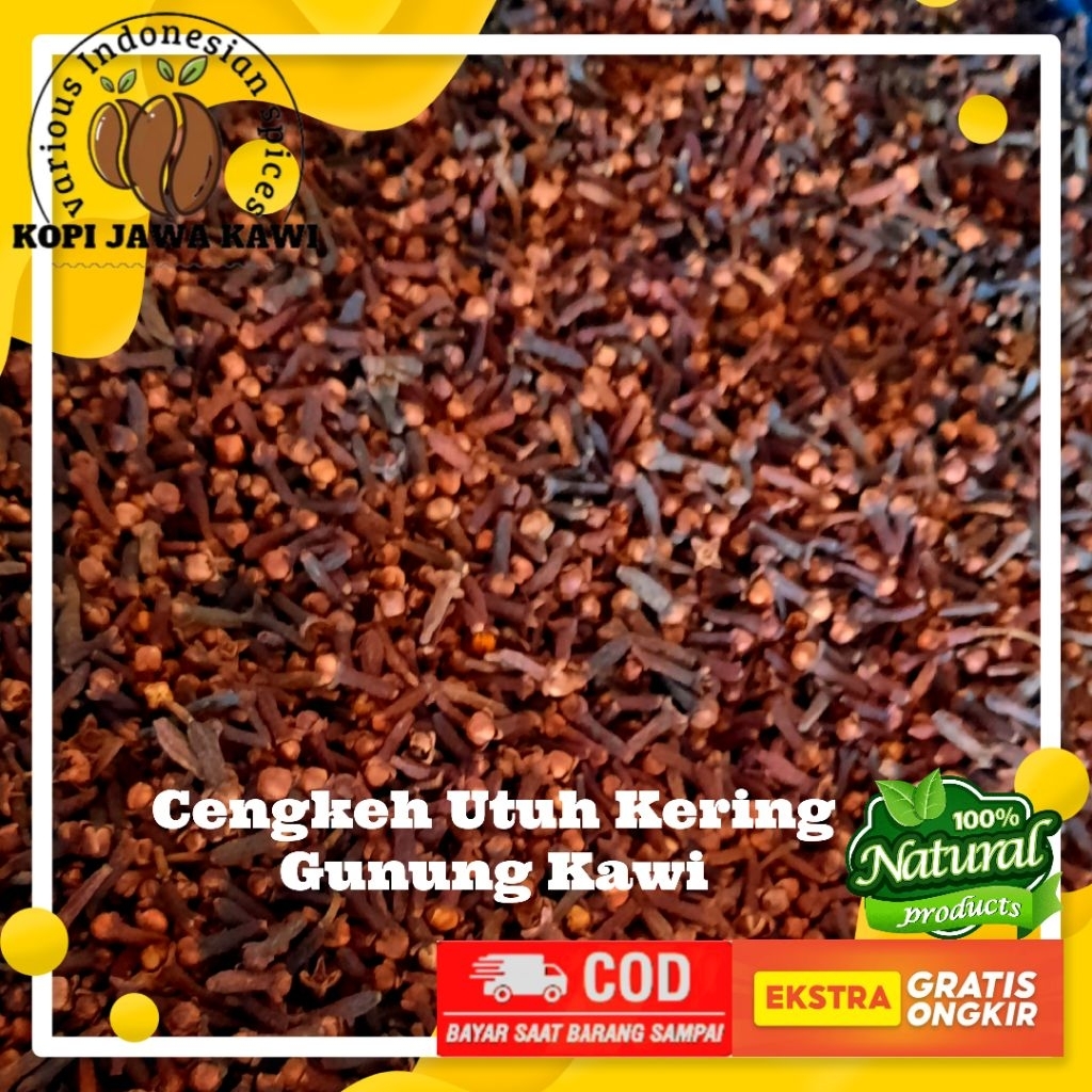 

Cengkeh Simpanan Lama Kwalitas Premium 100% Biji Clove Tua Utuh Kering Gunung Kawi Panen Lama Wangi