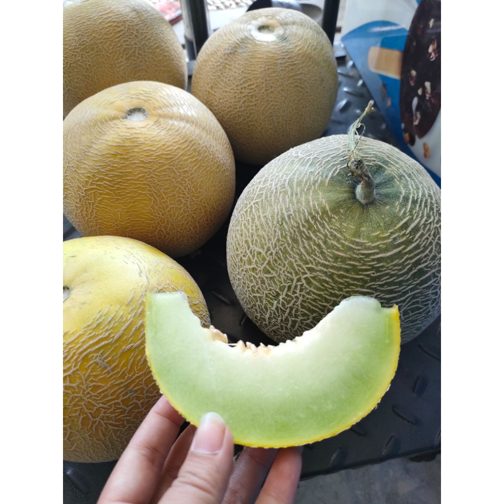 

Melon madu