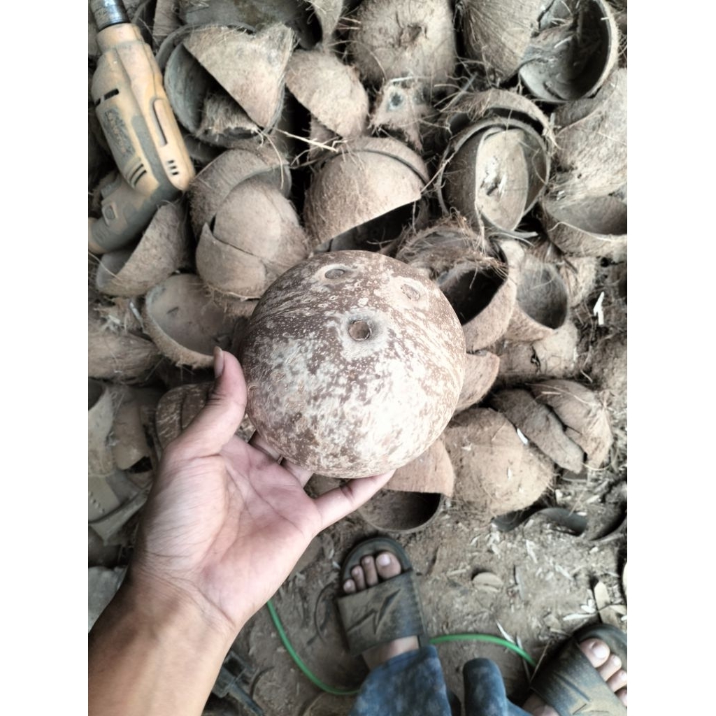 batok kelapa bagian atas, batok kelapa bahan kerajinan batok murah