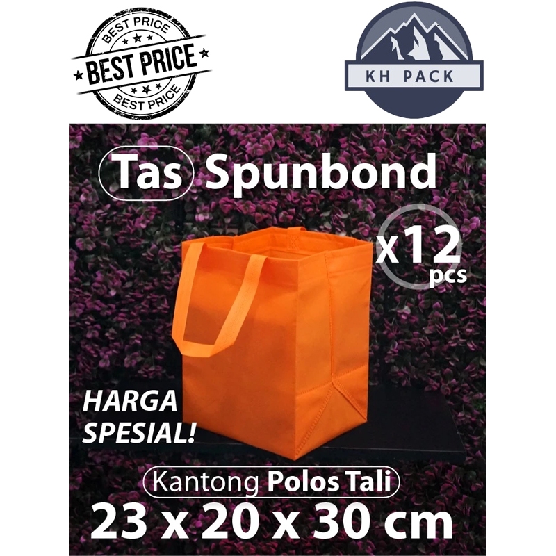 

1 LUSIN (12pc) Tas Spunbond Handle BOX DUS KUE uk 23x30x20 / Goodie Bag / Tas kain POLOS