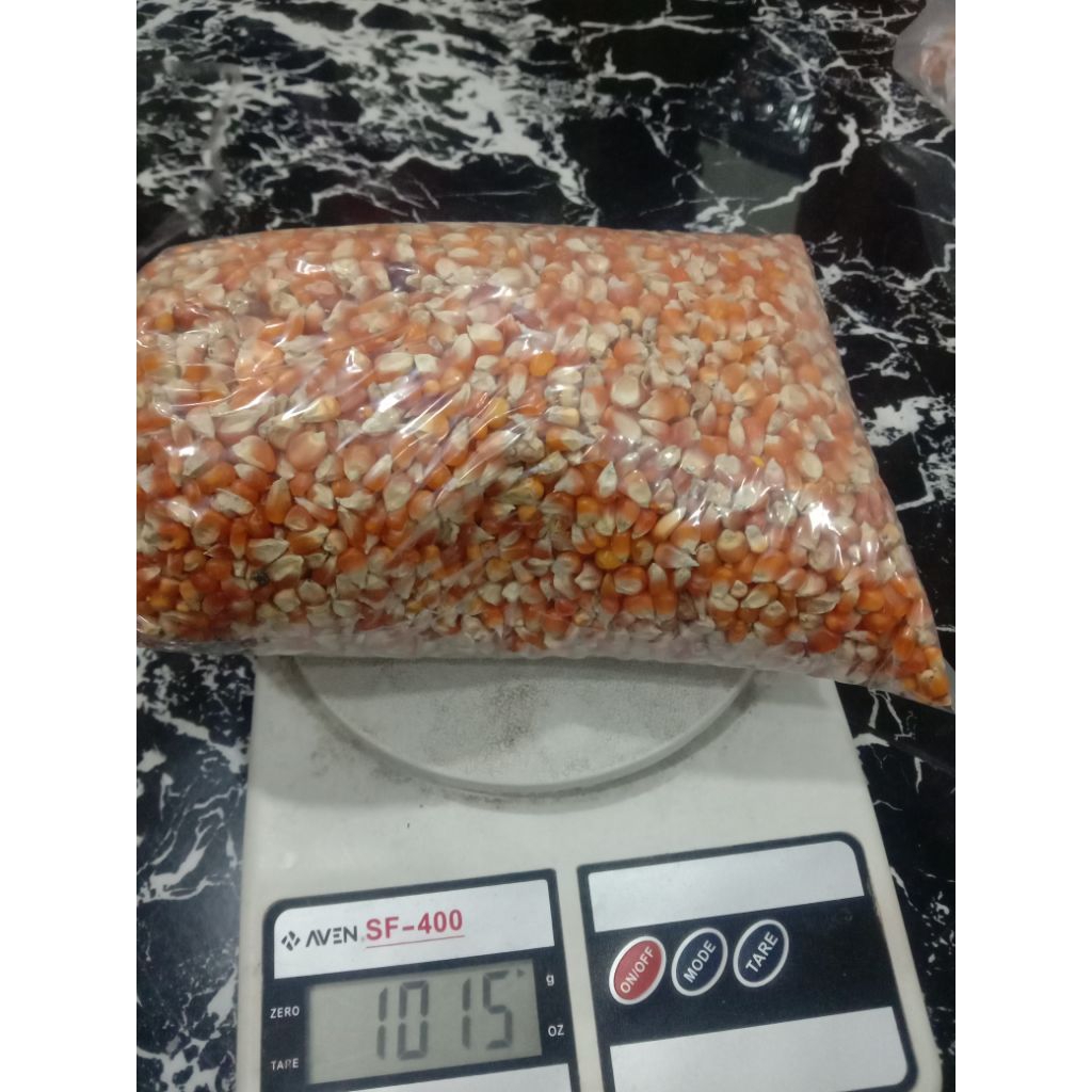 

jagung harga 1 kilo gr