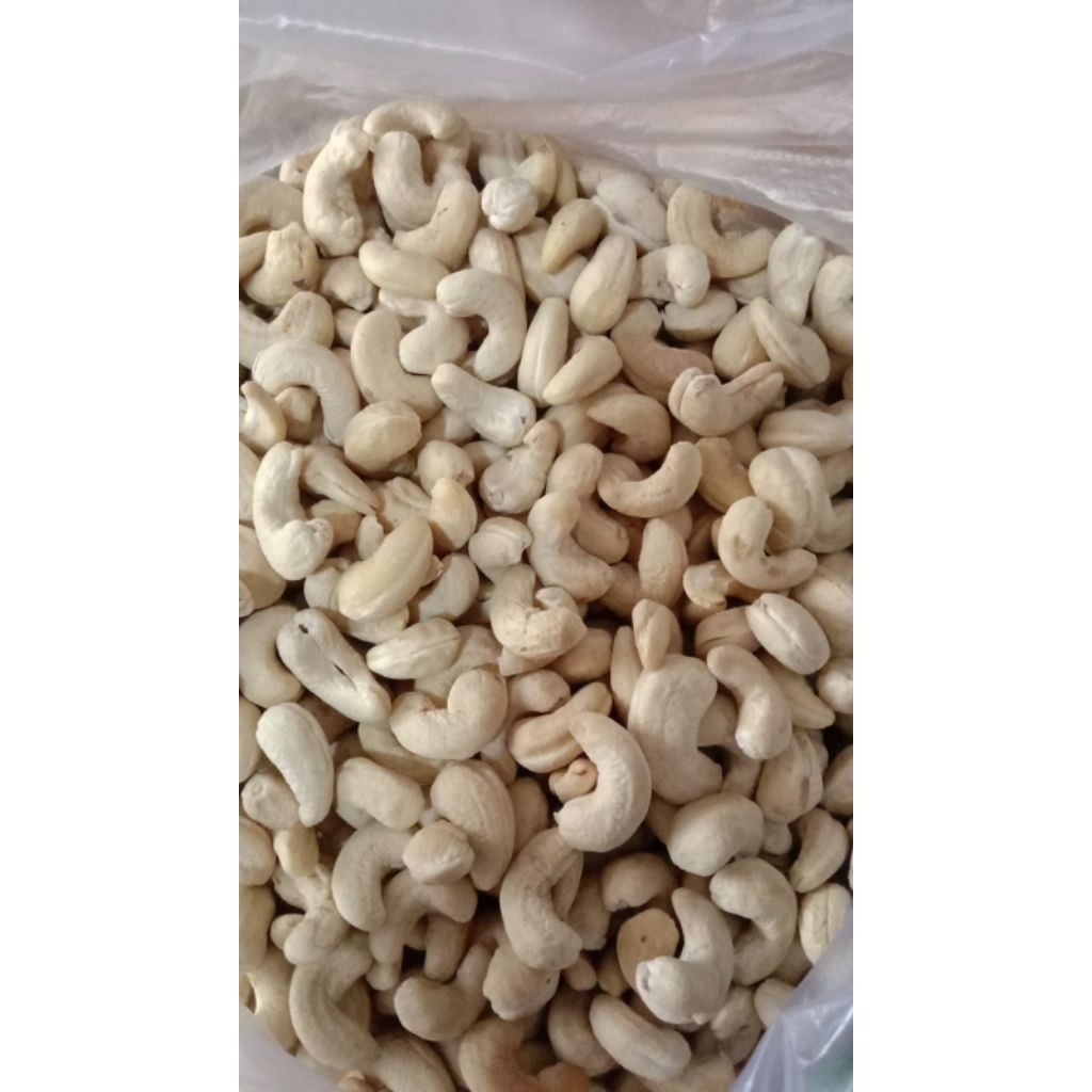 

kacang mete wonogiri mentah