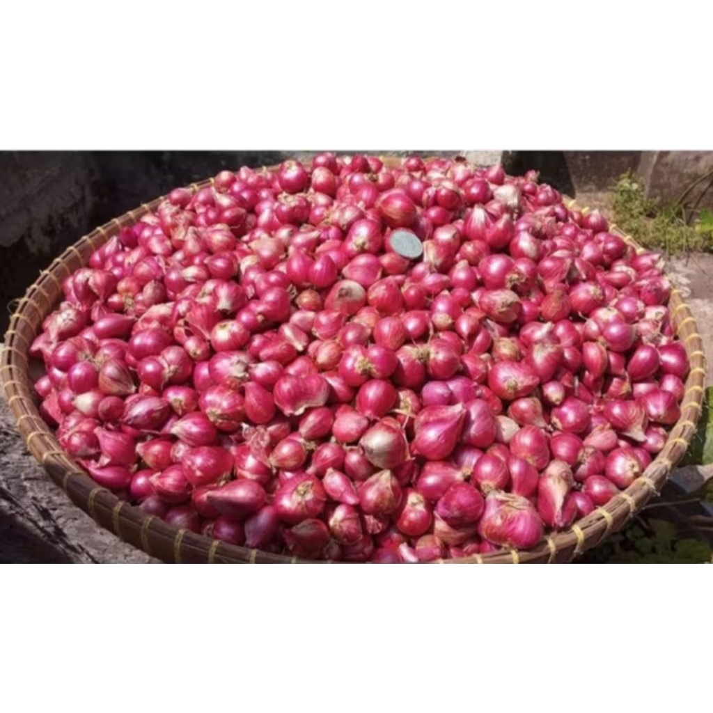 

bawang merah 250 gram