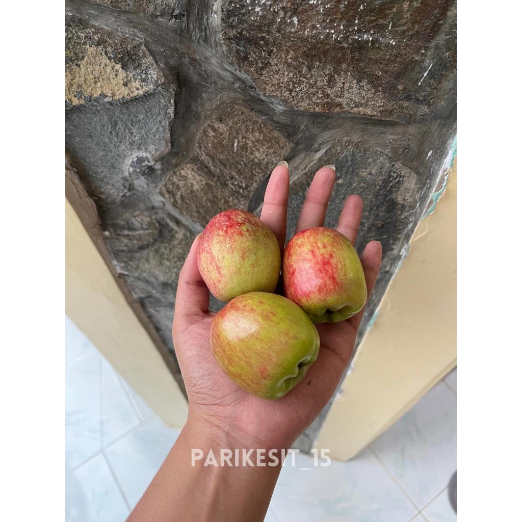 

Apel Ana Uk Sedang Batu Malang 1kg (isi 17 – 19 buah)