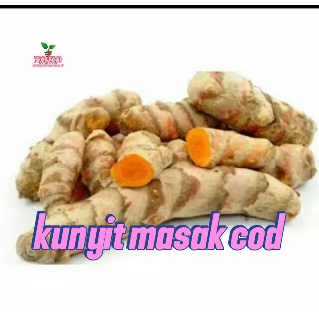 

kunyit masak segar fresh 500grm