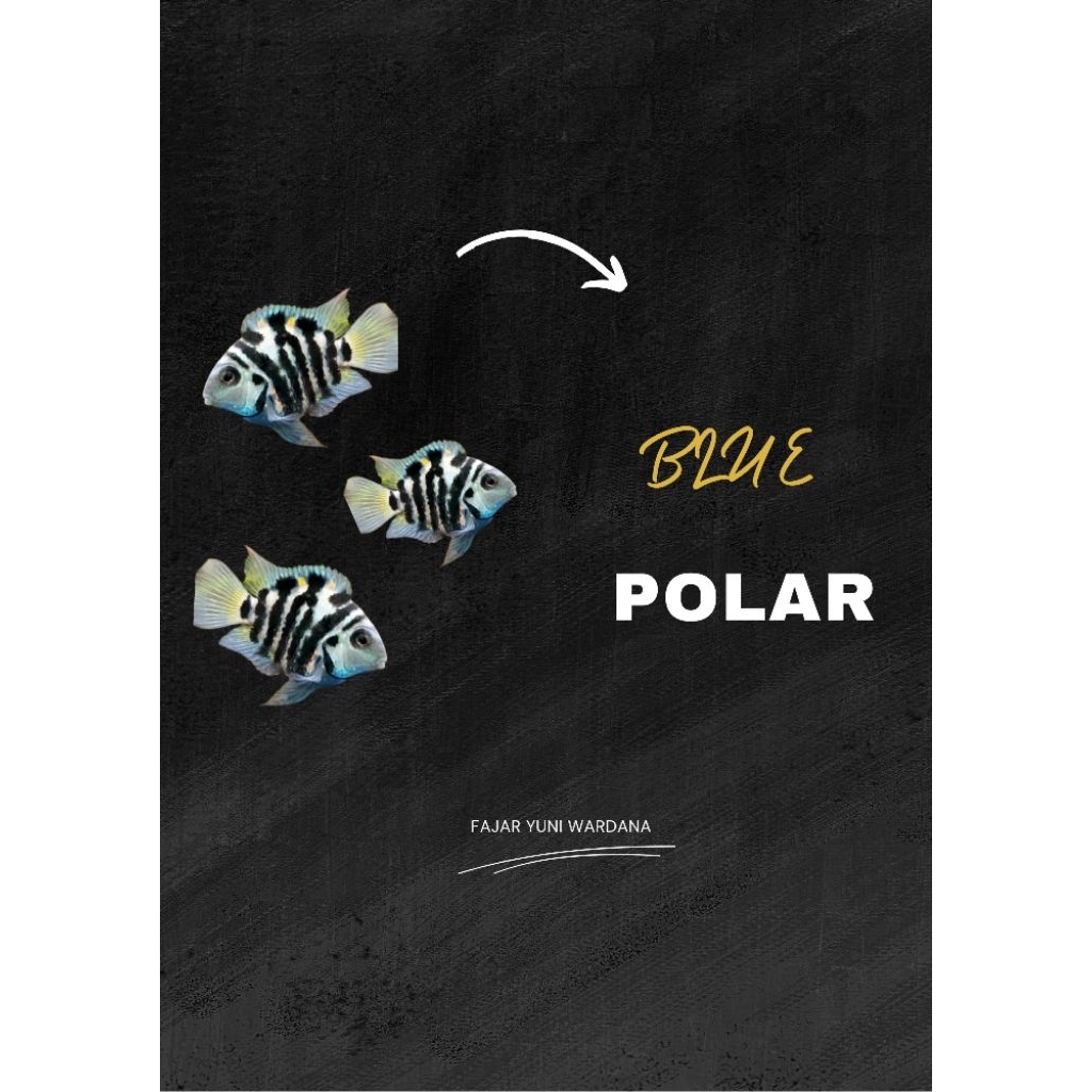 polar blue