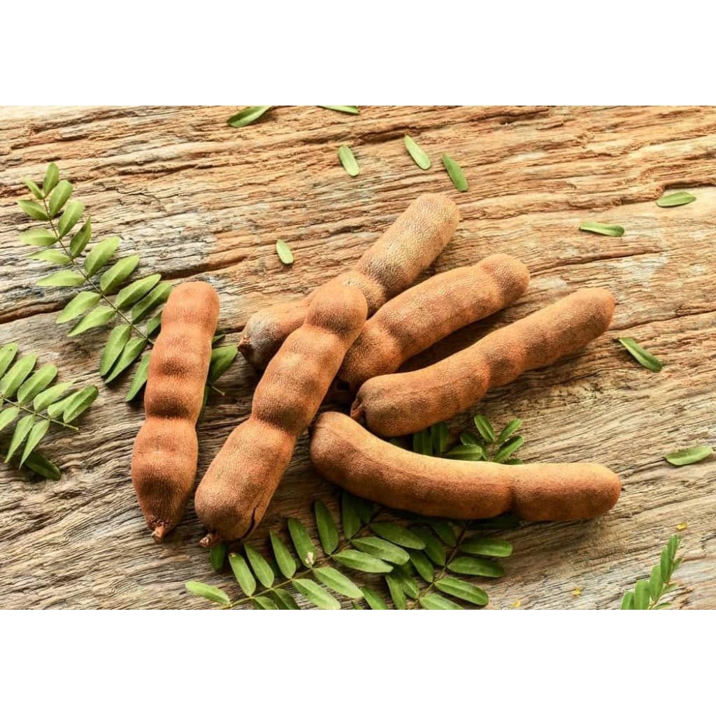 

asam jawa bersih tanpa biji (asli) 1kg