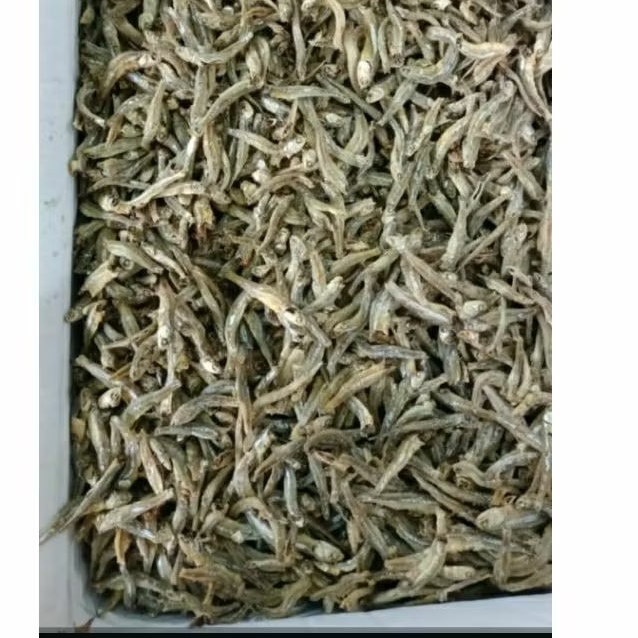 

Ikan Teri Pulau Besar (4-5cm) Tawar Khas Kalimantan Pontianak