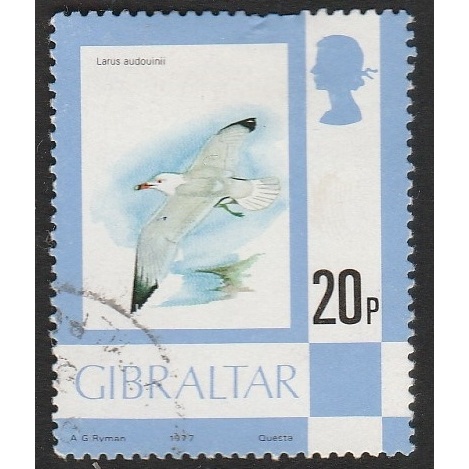 

A 12605 SATU BUAH PRANGKO GIBRALTAR NOMINAL 20 PENCE TEMA SATWA BURUNG LARUS AUDOUNII DENGAN KONDISI SUDAH ADA CAP