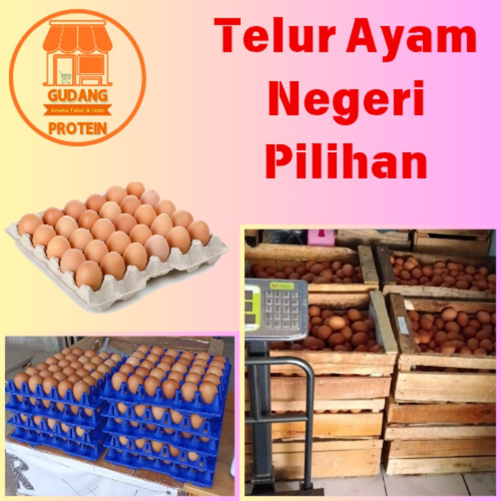 

TELUR AYAM NEGRI Grade A / Pilihan MURAH PER KG
