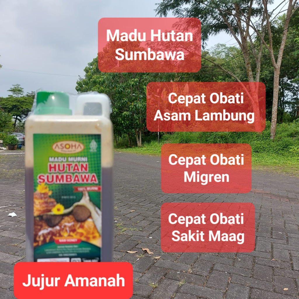 

Madu Hutan Liar Sumbawa 1kg | Madu Asli | Madu Murni