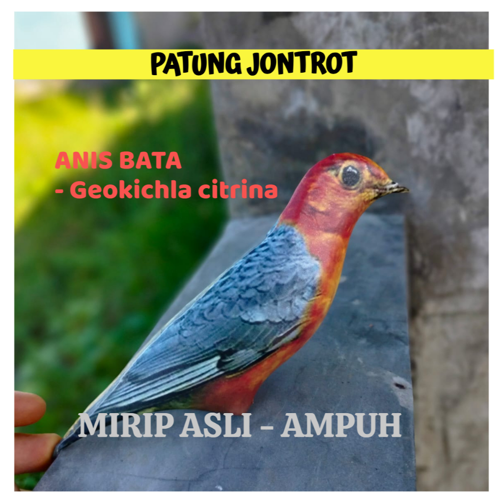 PATUNG JONTROT BURUNG ANIS BATA - JONTROT BURUNG ANIS BATA