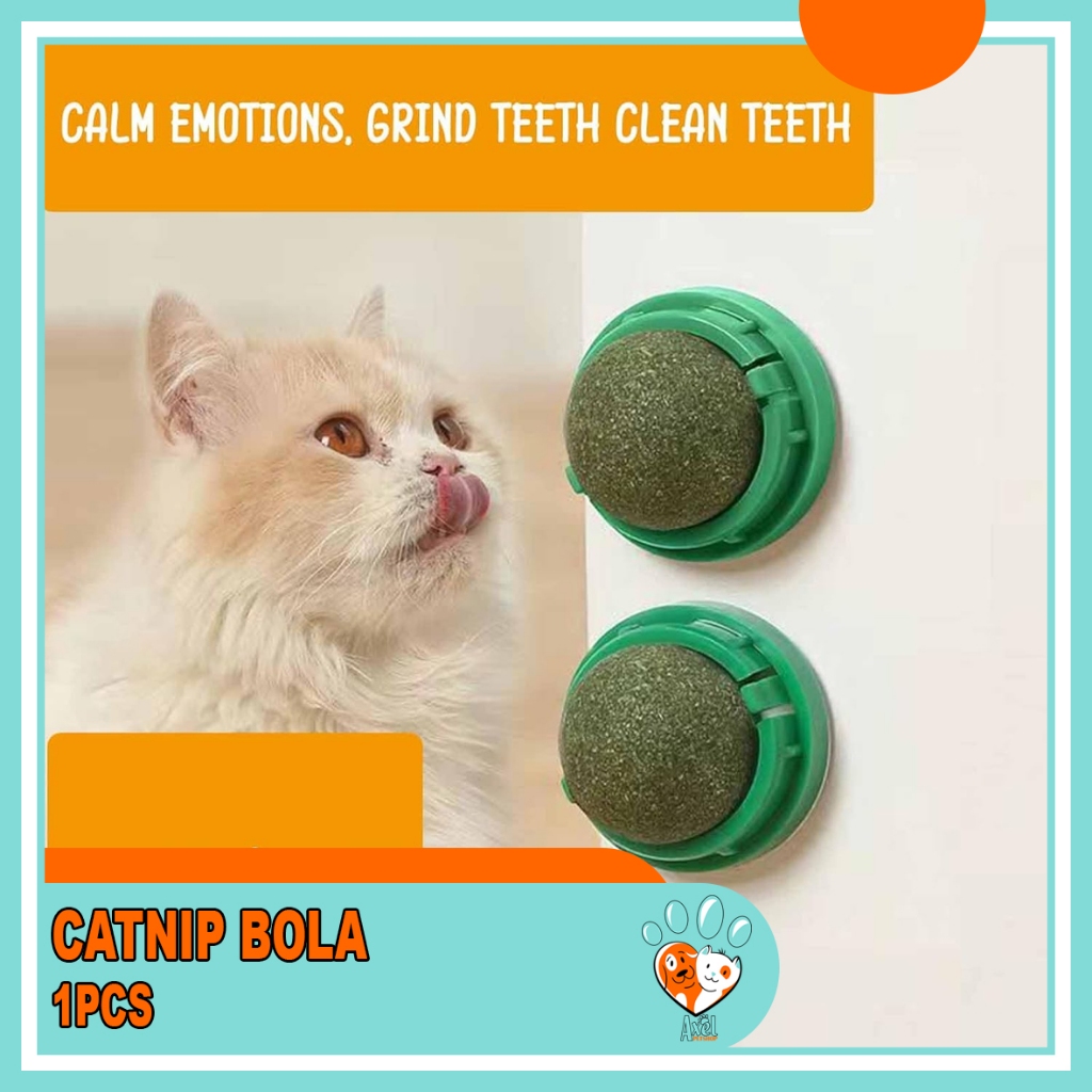 Catnip Bola Mainan Kucing Bola Catnip Rotating Catnip Ball Catnip Kucing Anti Stress Catnip Ball Bol
