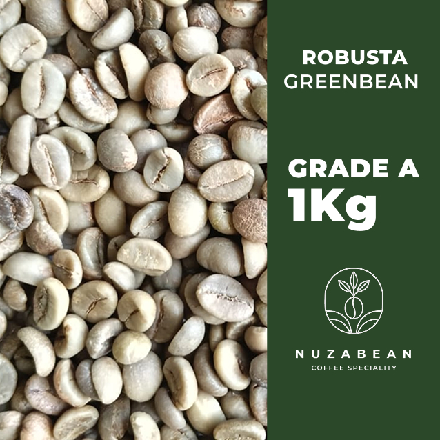 

Greenbean Robusta Dampit | Biji Kopi Mentah Grade A 1kg - Fresh