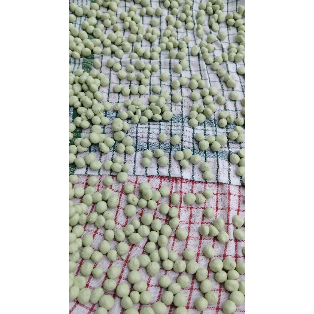 

PUPUR DINGIN DAUN KELOR TRADISIONAL