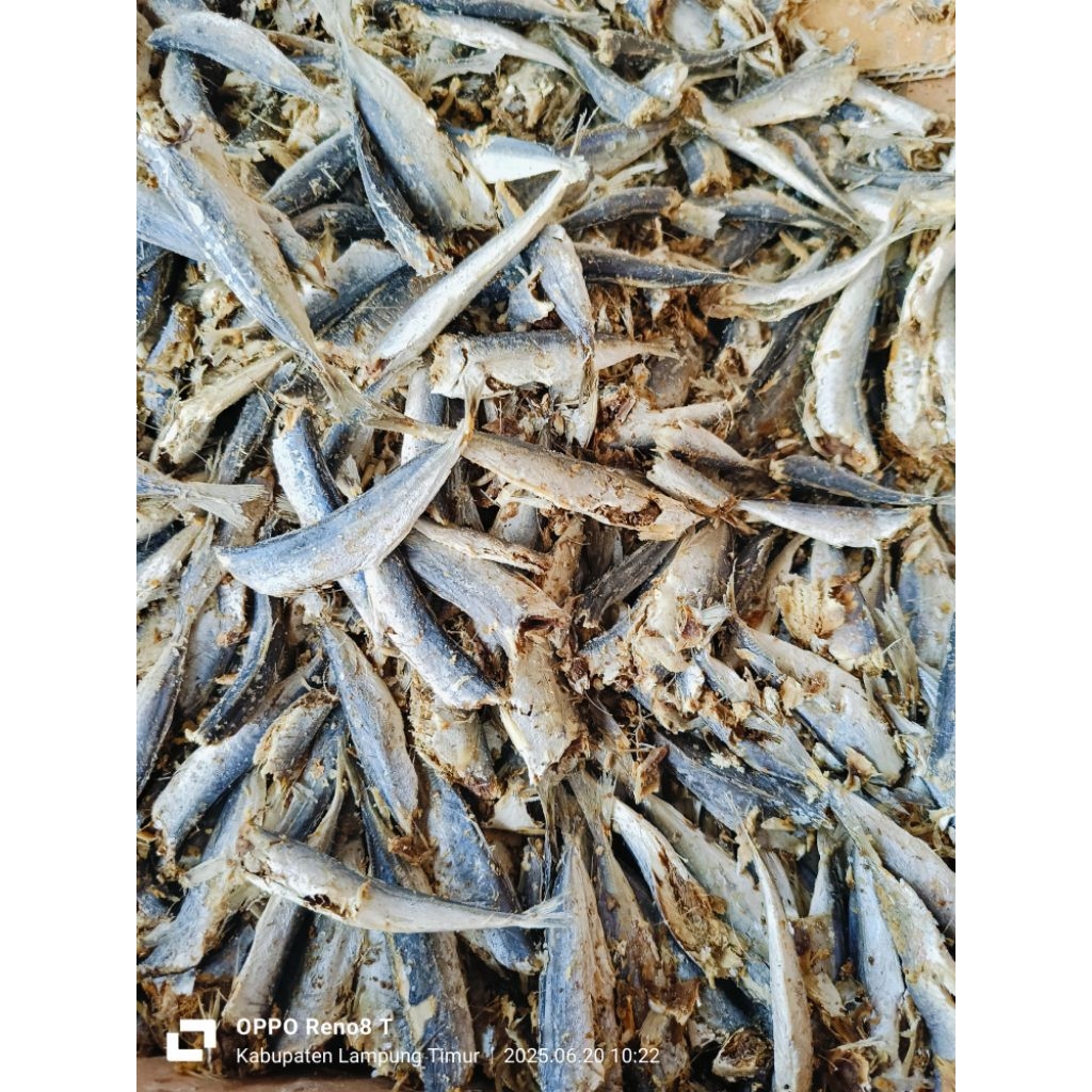 

IKAN ASIN LAYANG REBUS