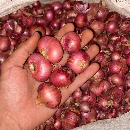 

bawang merah 1kg Super Ukuran besar dan sedang Termurah