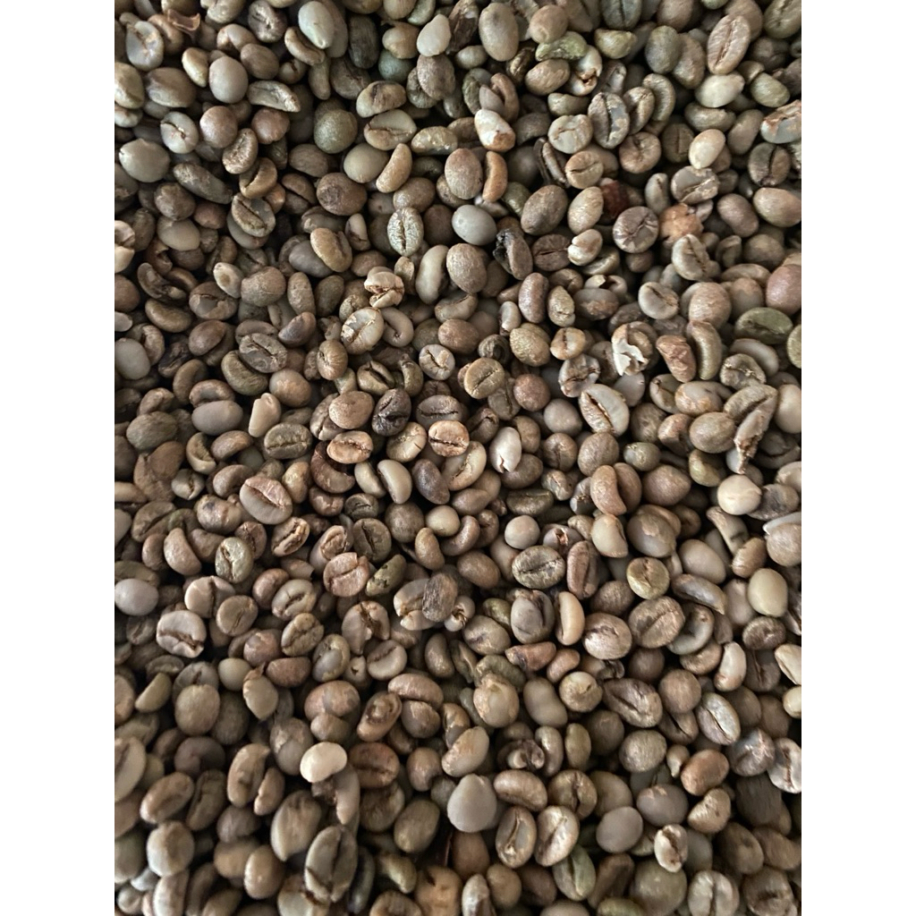 

Green Bean Kopi Robusta