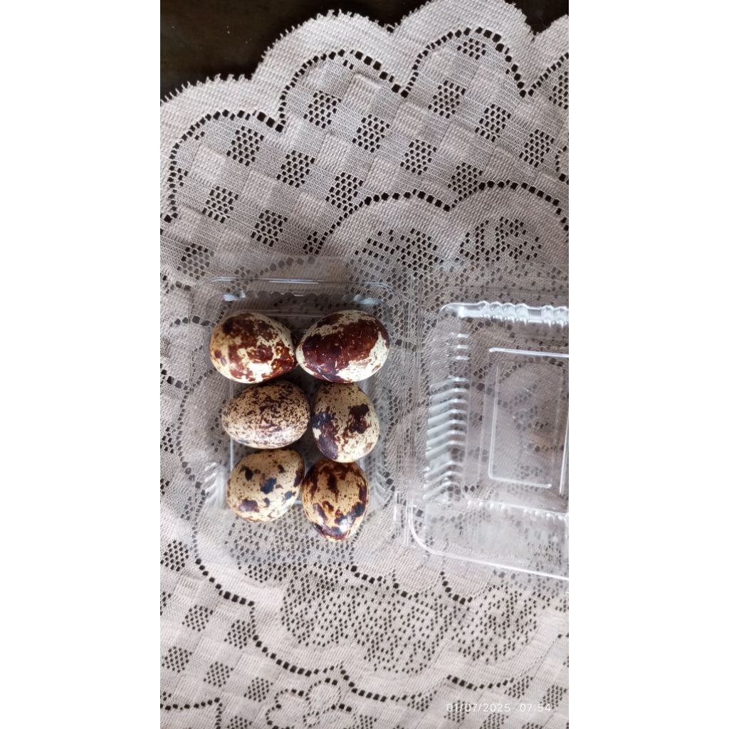 

TELUR PUYUH MATANG ENAK, GURIH ISI 6 BUTIR