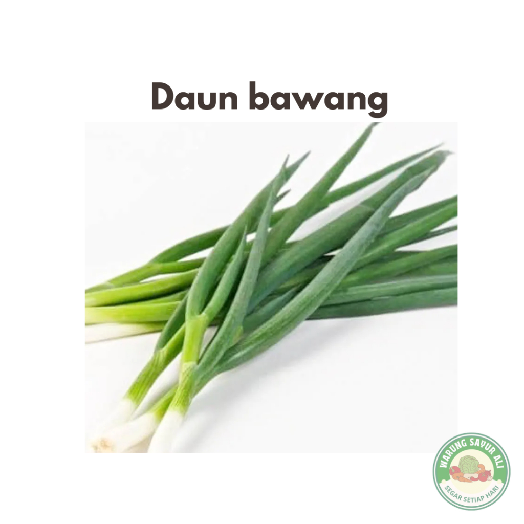 

(KIRIM INSTAN) Daun Bawang 1 Ikat