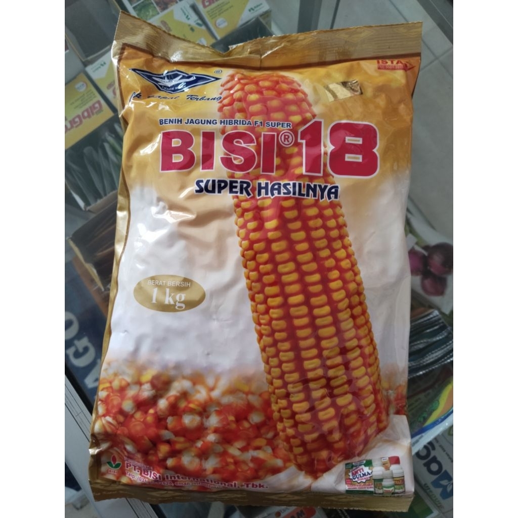 Benih bibit jagung hibrida F1 Super BISI