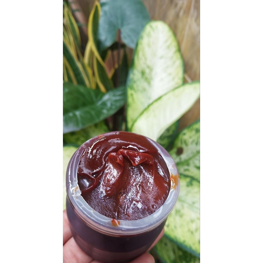 

[homemade] Petis pantura asli ikan pindang