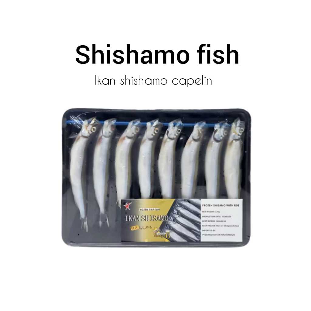 

Ikan Shisamo / Ikan Cipung / Capelin / Ikan telor - 170g / expedisi instant dalam kota saja