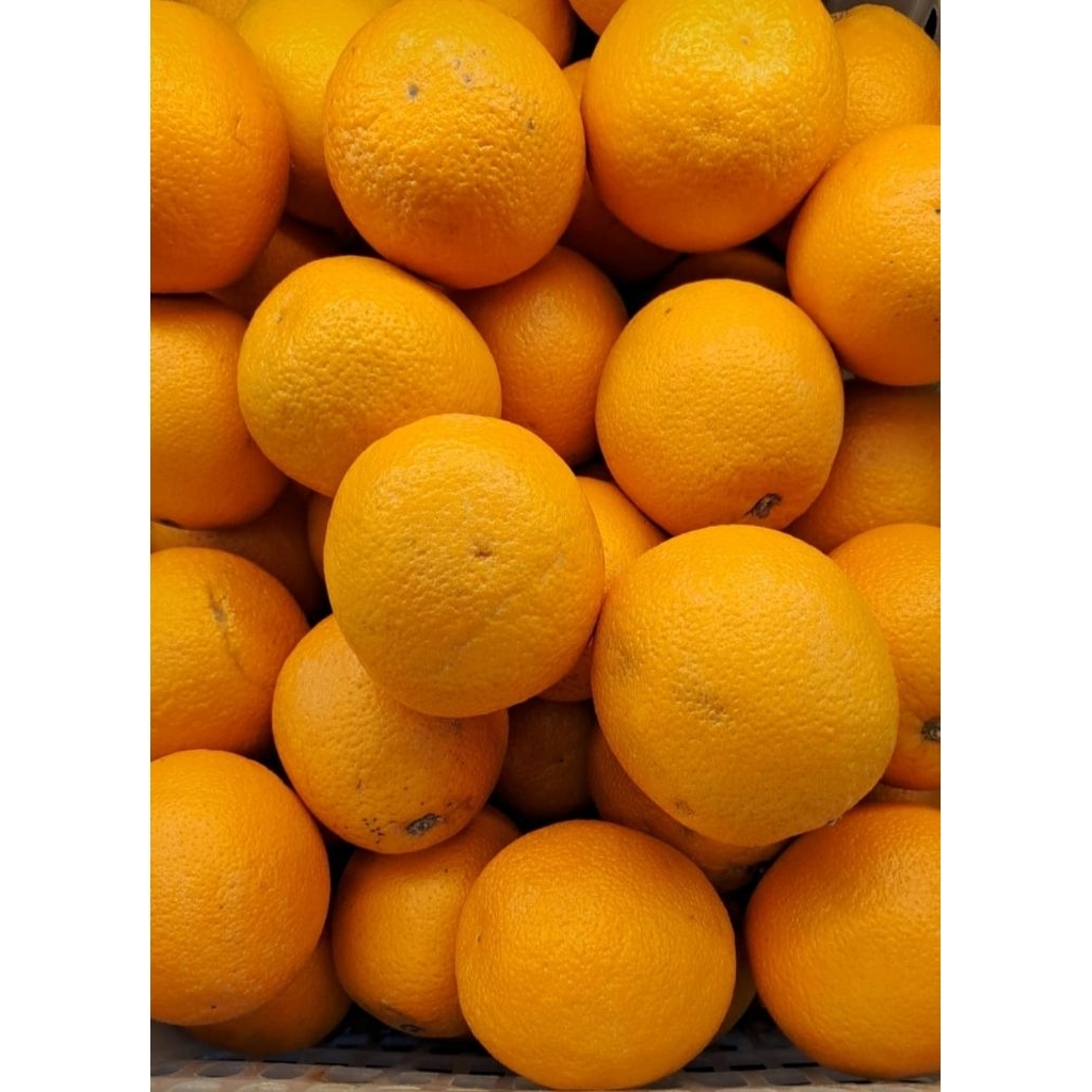 

Sunkist Valencia / RRC / USA