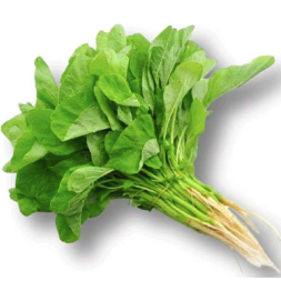 

Bayam Segar Medan Daily Market