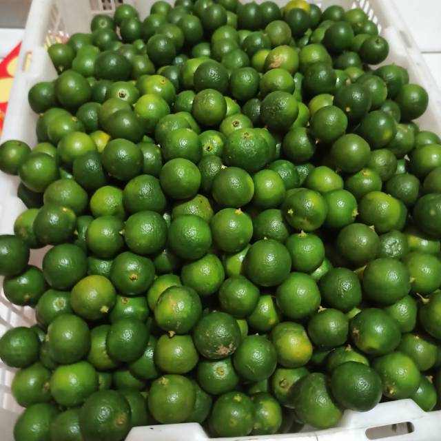 

✨PROMO✨ Jeruk Kasturi / Jeruk Sonkit / Jeruk Sonkit Segar Jeruk Kunci Jeruk Kasturi 1/2Kg