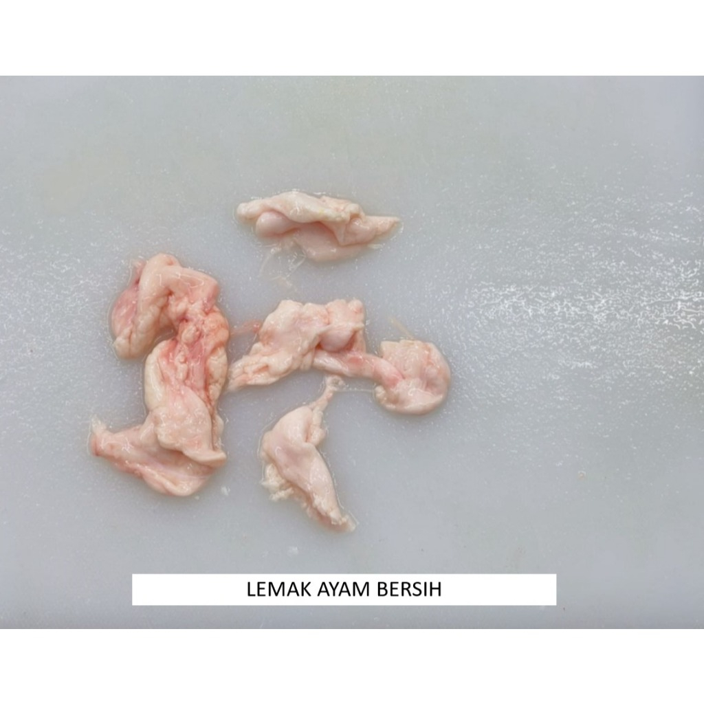 

Lemak Ayam Bersih / Minyak / Trimming Minyak Giling Halus (FRESH & FROZEN) HARVESTLAND