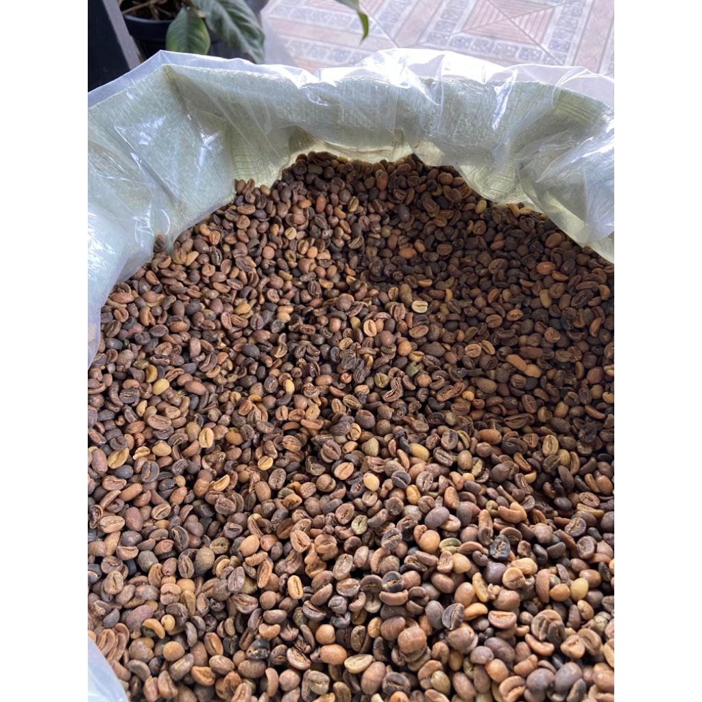 

KOPI ARABICA GAYO WINEY STRONG GRADE 1 GREAN BEAN 1KG