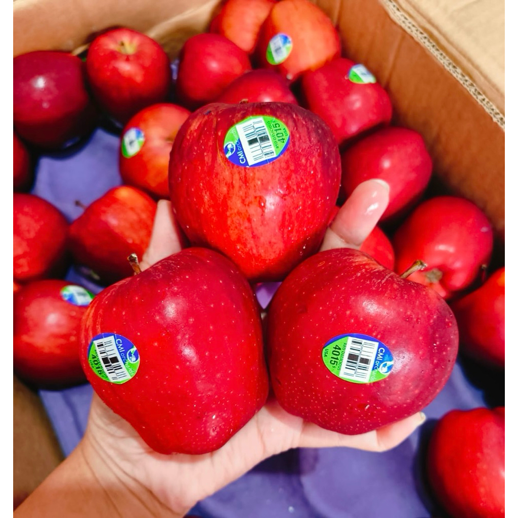 

Apel Washington isi 7 ready senin dikirim sore